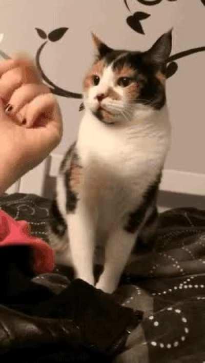 What did I tell you about that last time?