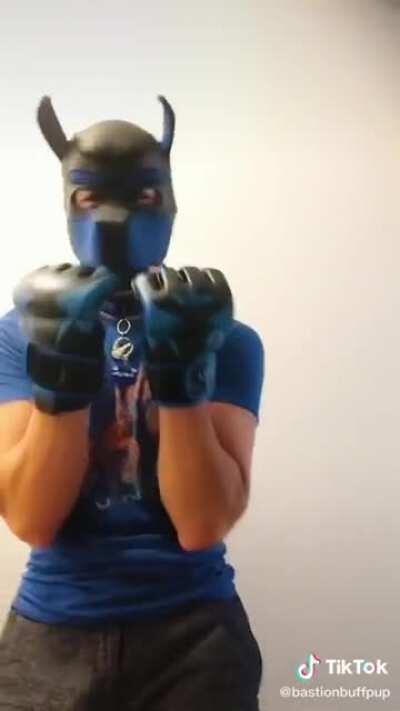 My puppy never looked like this, should I call a vet?