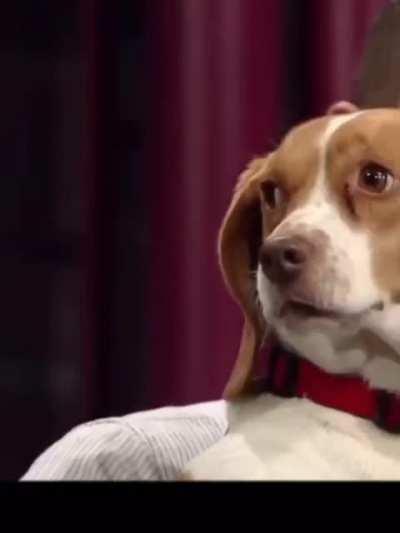 The Oscar goes too Bailey.