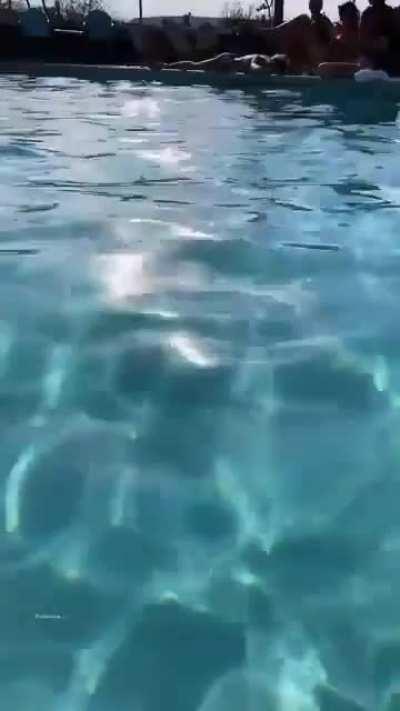 Sexy dancing by the pool