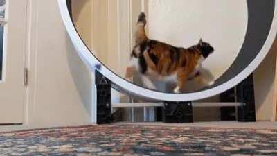 Oh lawd she working out!!!