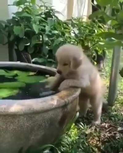 Playing with water