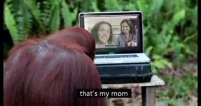 I'm 15 and this is yeet