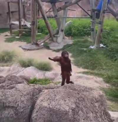 Never forget, never forgive, HODL #weknow #MOASS 💎