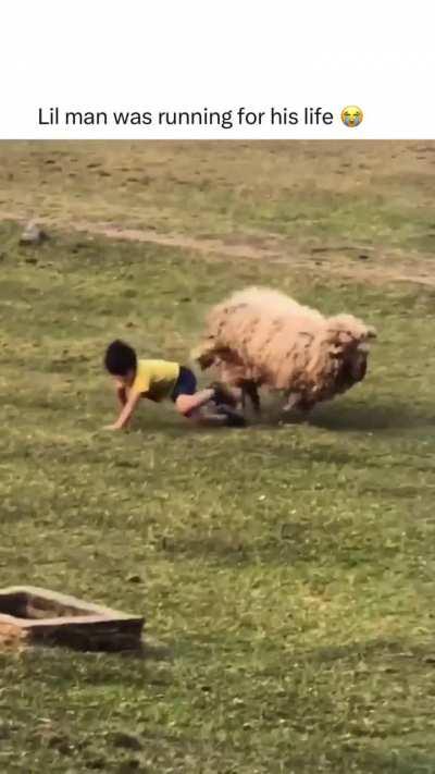 Bro learned the lesson