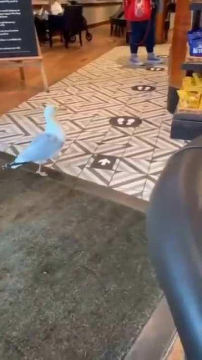 You little thief 😂