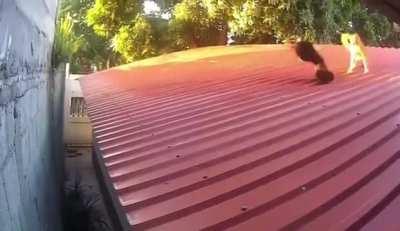 one needs a little practice 