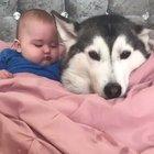 kid is so happy because he knows that one day he will eat this dog