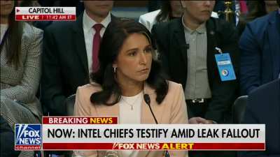 You can see Tulsi Gabbard trying to come up with evasive answers to Mark Kelly's questions in real time