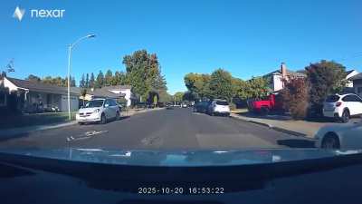 Could’ve swear this mf saw me coming and still decided to go for it [oc]