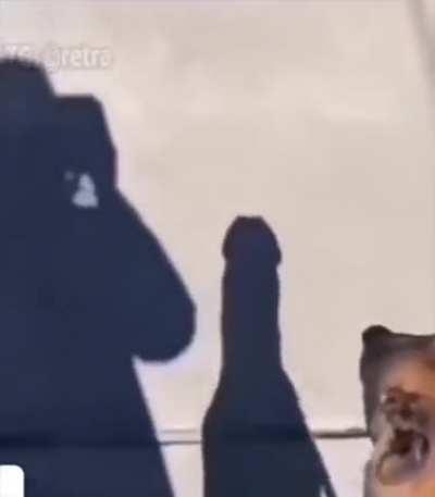 nothing to see here!!!