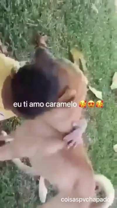 Caramelo o estuprador