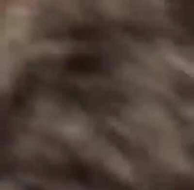 Highschooler plays pornhub intro at rally. Audience freaks.