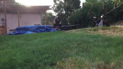 How asbestos/selfie kids get sent to hell pt2