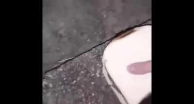 Whats the name of this song in this meme? I think its from dont starve.