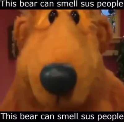 This bear smelling the carti sub