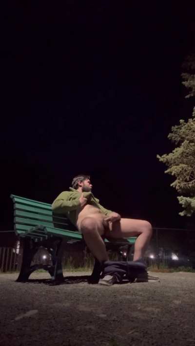 Late night cock stroking at the local dog park