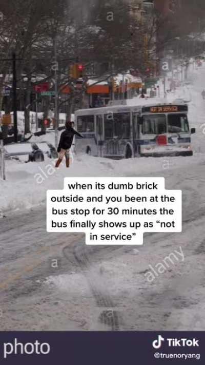 crazy that i wanna experience this again 🤕