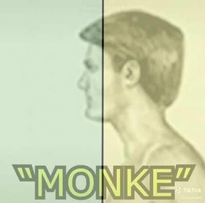 MONKEMONKEMONKEMONKEMONKE