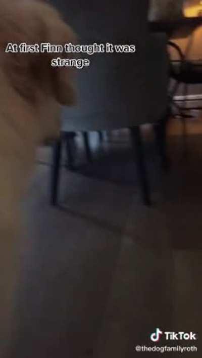 The start of a new friendship!