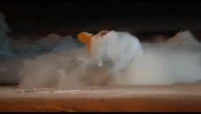 Elephant tusk punctures rhino! 