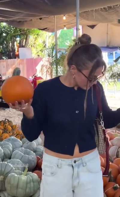 Picking Pumpkins - IG October 2025