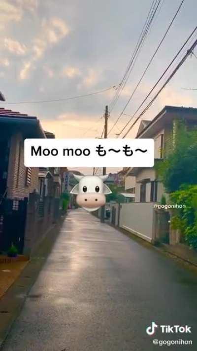 Animal Sounds in Japanese