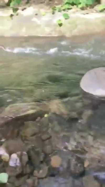 Expeditious Retreat Visualized