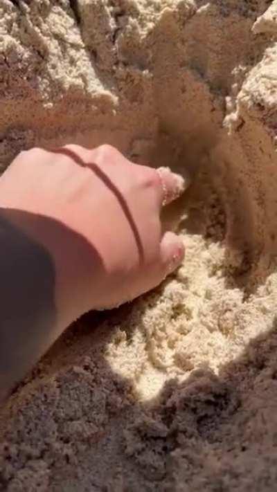 WCGW when digging around in a hole with your fingers