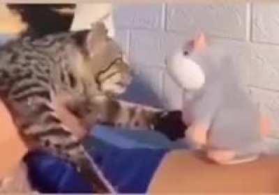 It gets better every scream