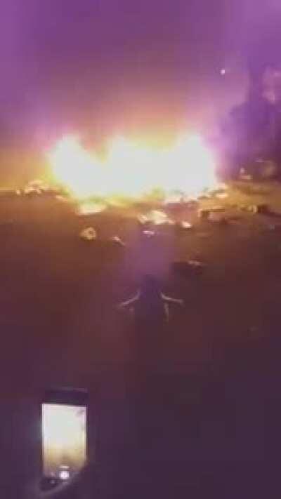 Baila Pinguino Baila