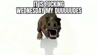 its Wednesday my duuuuudes