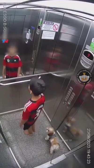 Muito cuidado ao levar pets no elevador