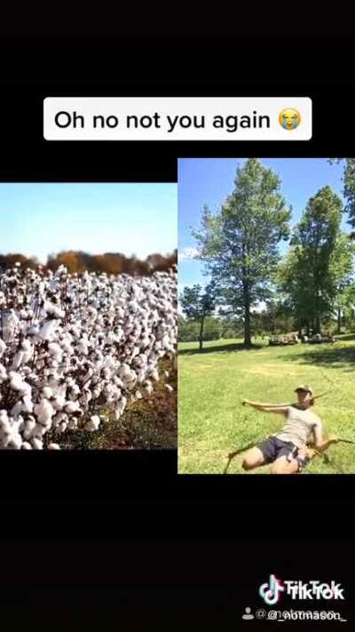 Cualquier pitodeleche que se precie al ver a un illojuaner