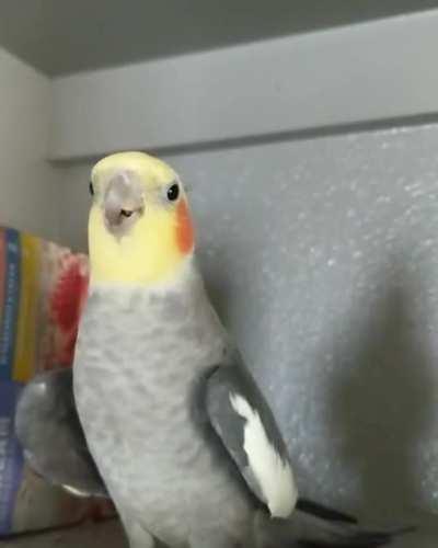 Tiel is having an awesome friday night