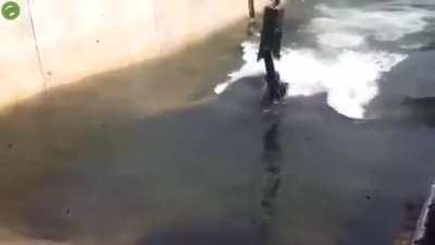 Guys I found out what happened to Atlantis