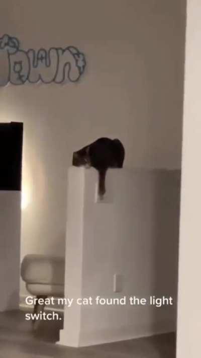 Kitty doesn't like the show they're watching 