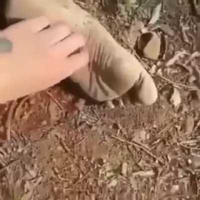 Thanks I hate tickle tickle