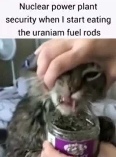 Memes from shitposting #2