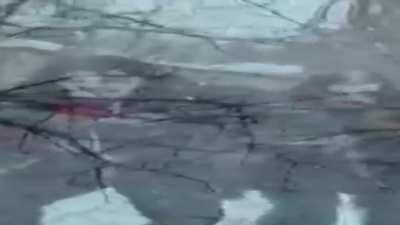 black metal goes W I D E