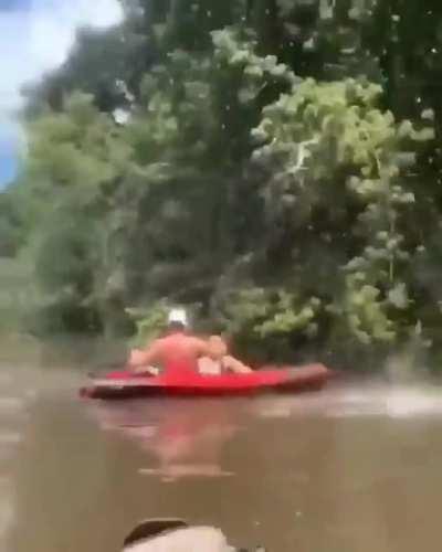 This calm branch bugs me