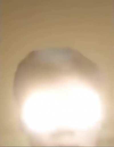 I think we’ve found the new Avatar