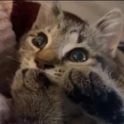 When you're so cute that you're ready to eat yourself!