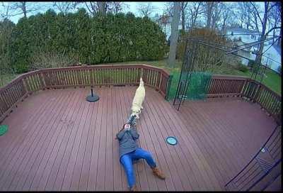 The chances of your Golden retriever killing you are low but never 0