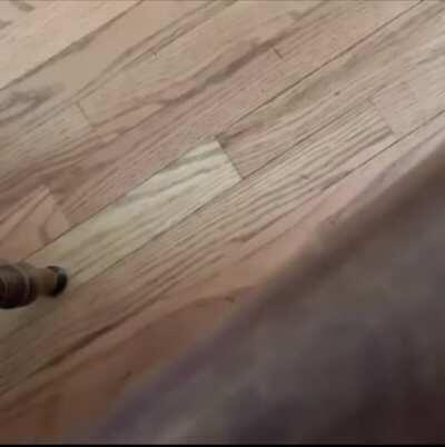 WCGW skateboarding in your moms kitchen