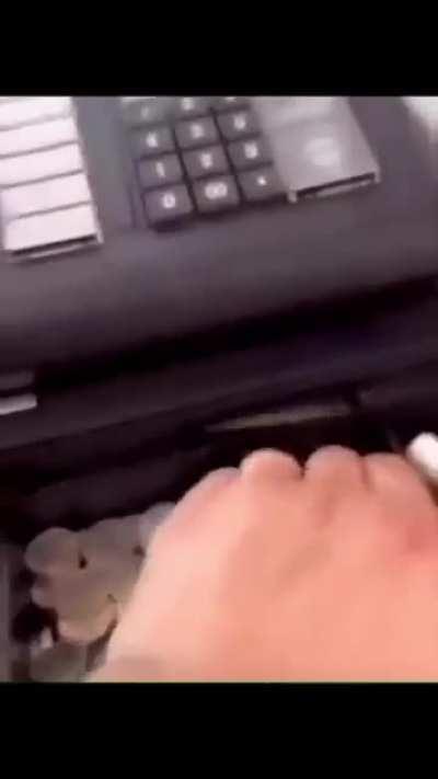 The Loser city economy is bustling at the moment