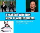 elon chungus?!😳
