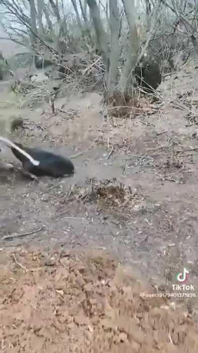 Private Bieber defends himself against the unlawful removal. HE WILL NEVER ABANDON HIS GUARD DUTY AND POSITION!