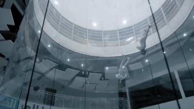 синхронное воздухоплавание