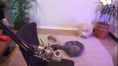 Some cake from Bnans' Bakery